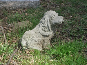 Mans_best_friend_at_darnestown